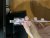 IMG_2265.jpeg