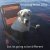 dog.jpeg