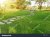 stock-photo-smooth-fresh-green-grass-lawn-with-random-pattern-walkway-of-grey-concrete-steppin...jpg
