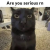 1767069730341.png