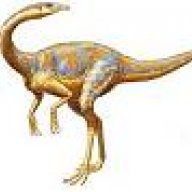 Dromiceiomimus