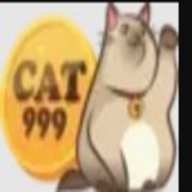 cat999kim