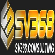 sv368consulting