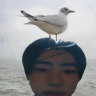cccccc24