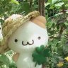 Mari_