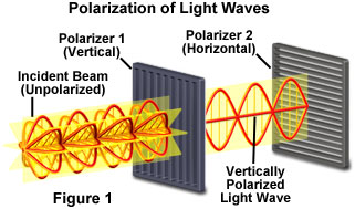 electromagnetic radiation - Non-polarised light - Physics Stack Exchange